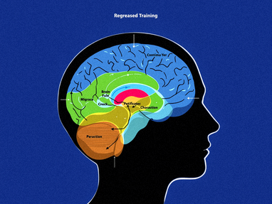 Cognitive training brain activity