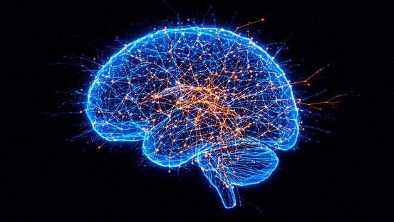 Neural connectivity patterns visualization