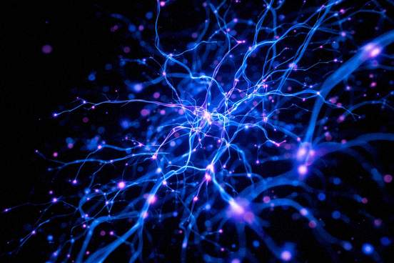 Neuroplasticity concept visualization